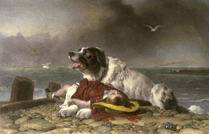 Saved by Edwin Henry Landseer — hand-painted animal oil painting reproduction on canvas