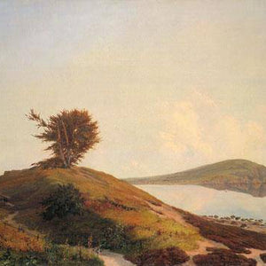 Scanian landscape with a view of Kullen