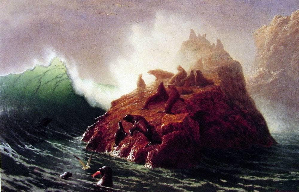 Seal Rock by Albert Bierstadt — hand-painted animal oil painting reproduction on canvas