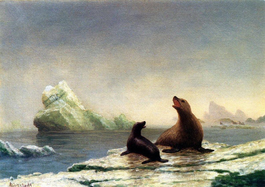 Seals by Albert Bierstadt — hand-painted animal oil painting reproduction on canvas