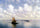 Seascape in home office