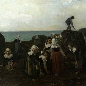 Seaweed collectors in Brittany