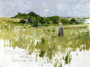 Shinnecock Hills, aka A View of Shinnecock by William Merritt Chase — hand-painted botanical oil painting reproduction on canvas