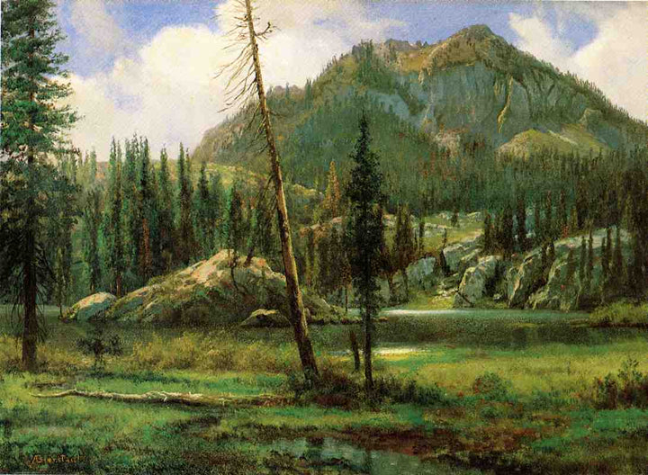 Sierra Nevada Mountains by Albert Bierstadt — hand-painted botanical oil painting reproduction on canvas