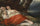 Sleeping fisherwoman in study