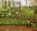 Spring, Gray Weather, Eragny by Camille Pissarro — rural oil painting wall art, Impressionism