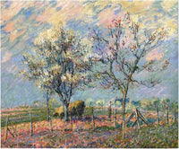 Spring