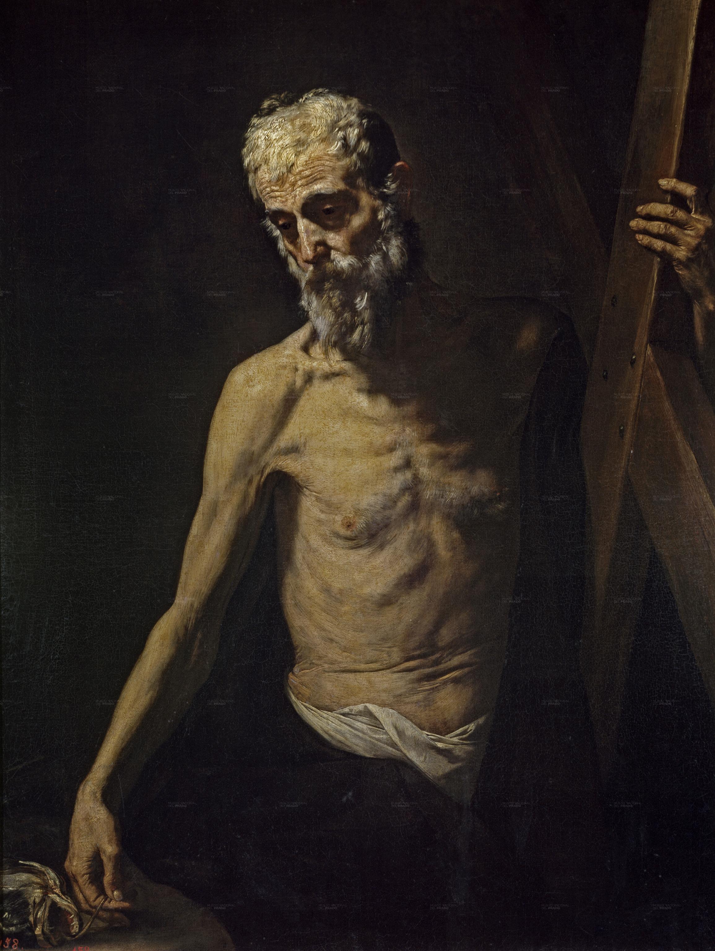 St. Andrew - Jusepe de Ribera