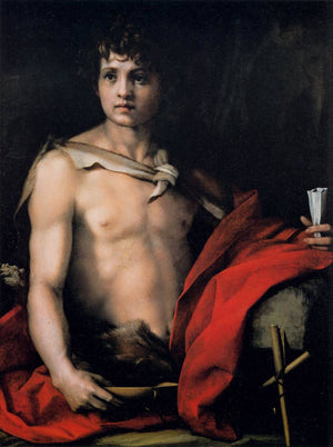 St. John the Baptist - Andrea del Sarto