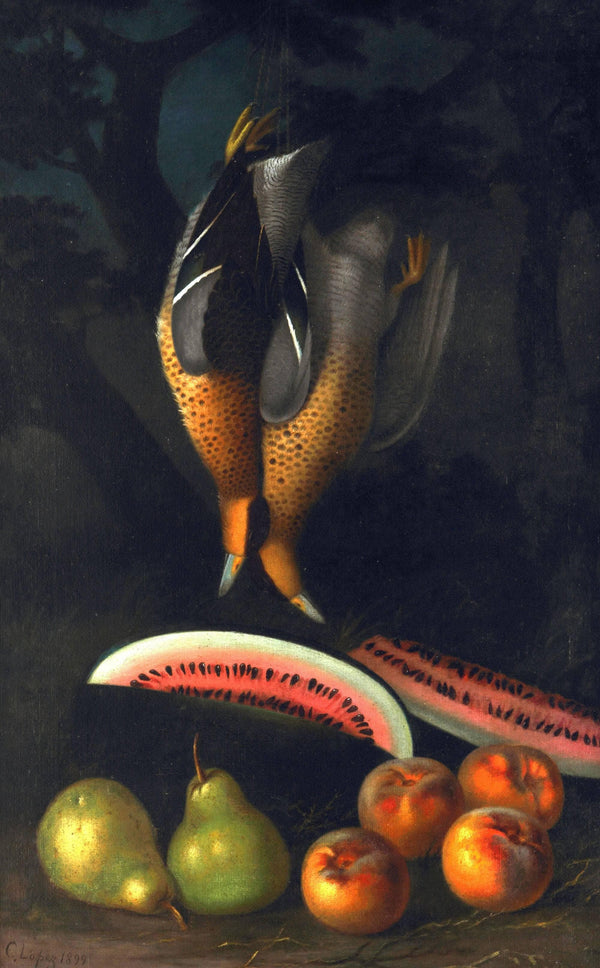 Still Life