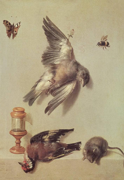 Still life of dead birds and a mouse in hallway