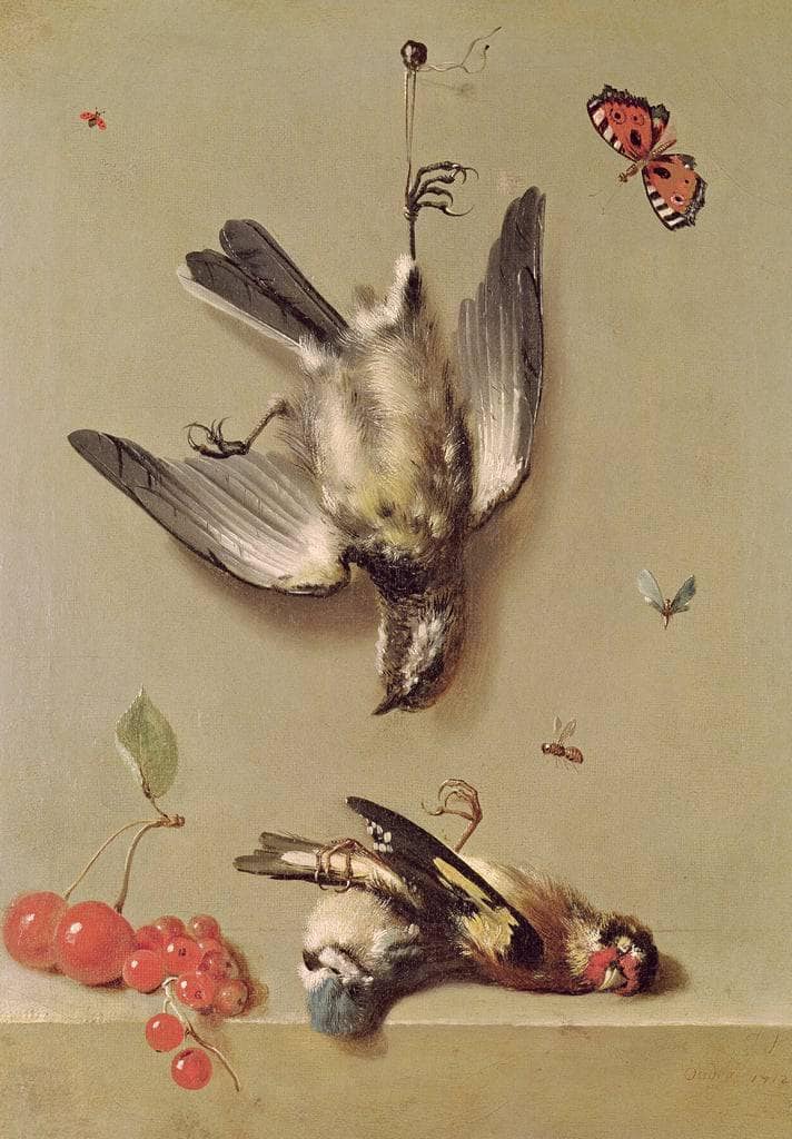 Still Life of Dead Birds and Cherries on gallery wrap