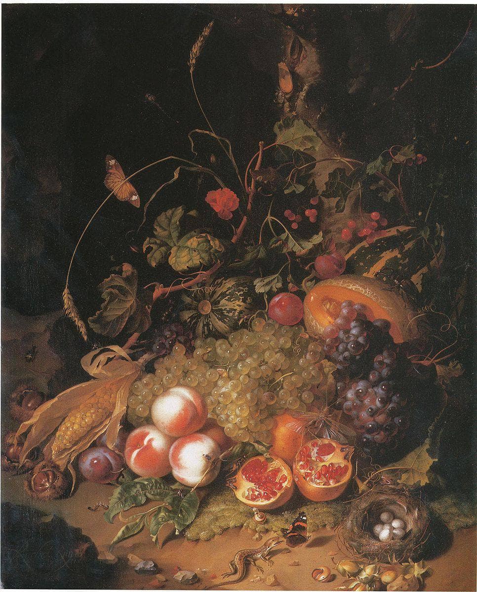 Still Life with Fruit a Nest and a Lizard