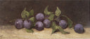 Still life with plums by Paul Trouillebert, fruit oil painting wall art, Naturalism