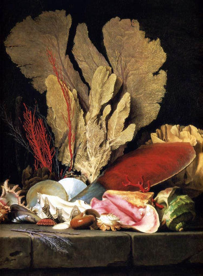 Still-Life with Tuft of Marine Plants, Shells and Corals by Anne Vallayer-Coster — oil painting reproduction