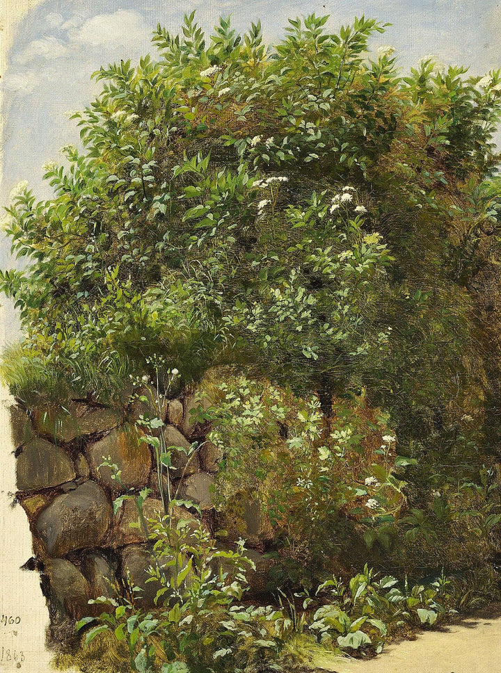 Stone Fence by Otto Bache — hand-painted botanical oil painting reproduction on canvas