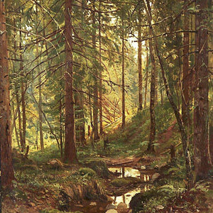 Stream by a Forest Slope