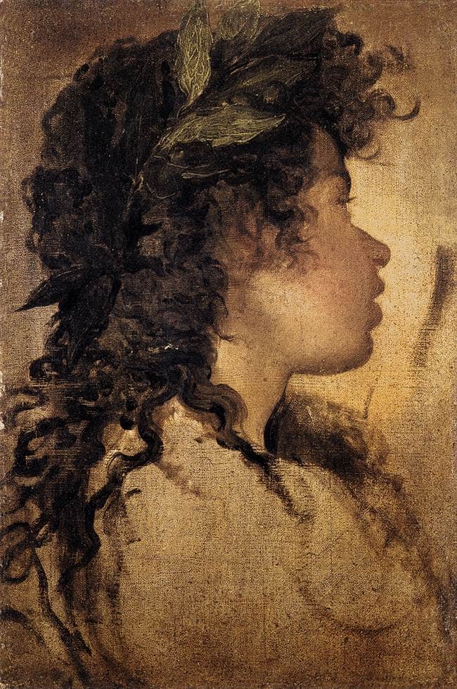 Study for the head of Apollo - Diego Velazquez