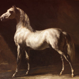 Study of a Dapple Grey