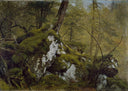 Study of a Wood Interior by Asher Brown Durand — forest oil painting wall art, Romanticism