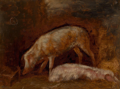Study of Pigs in bedroom