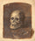 Study of skull in modern living room