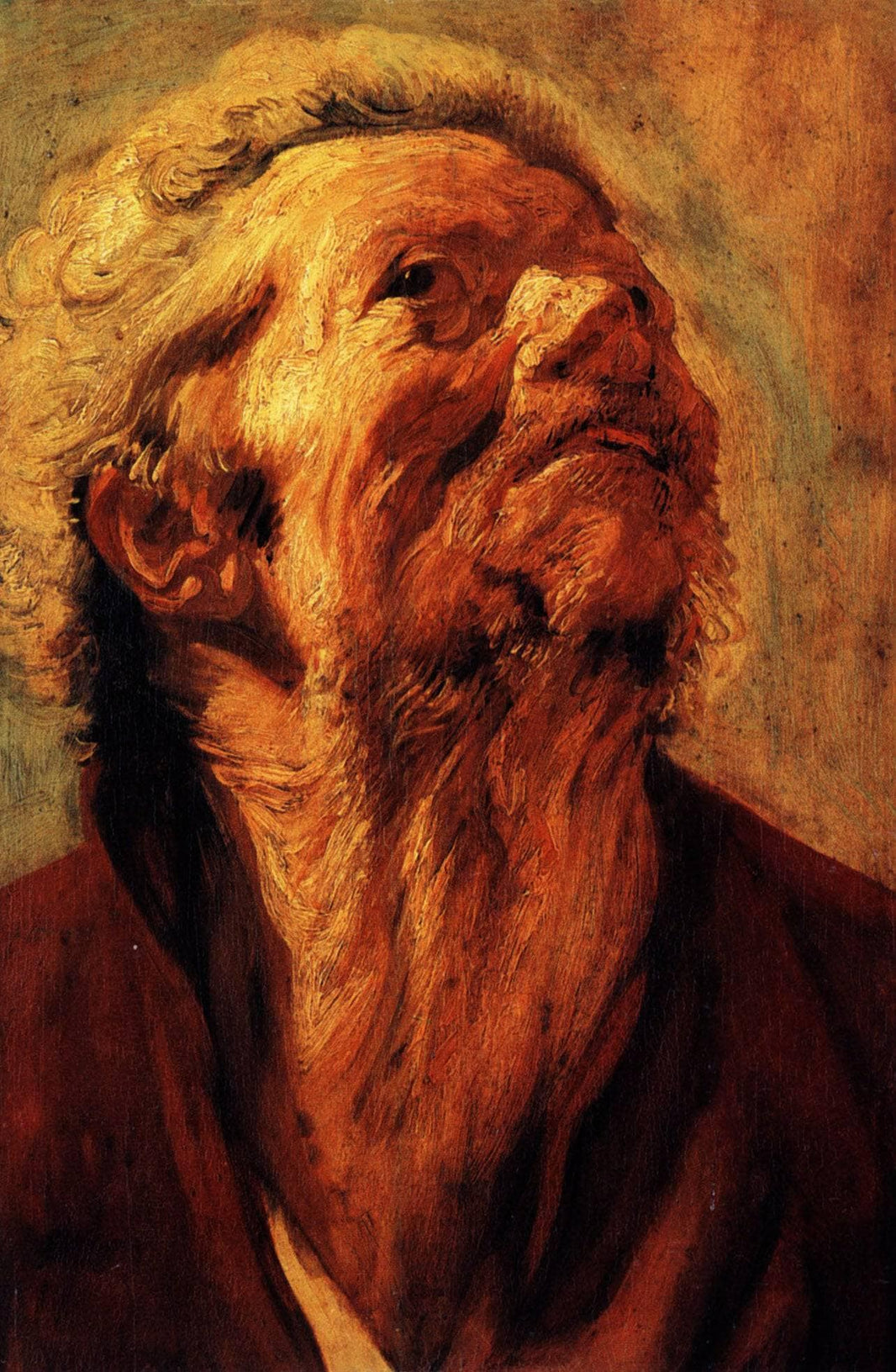 Study of the head of Abraham Grapheus by Jacob Jordaens — hand-painted portrait oil painting reproduction on canvas
