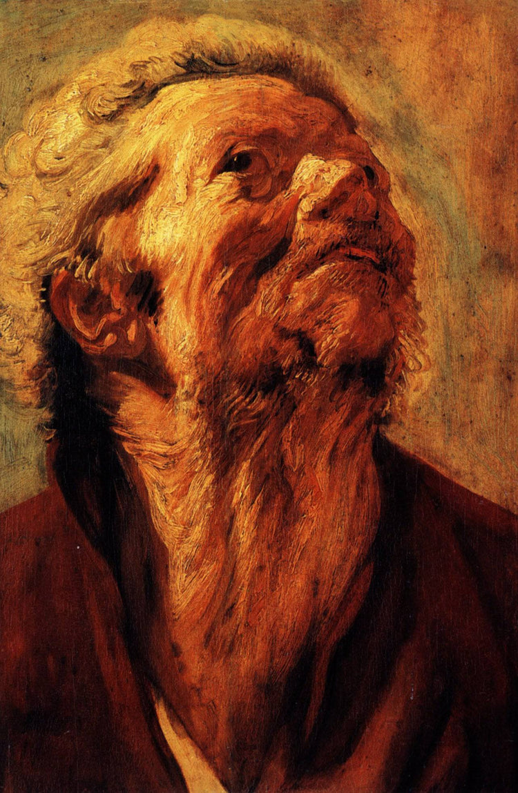 Study of the head of Abraham Grapheus - Jacob Jordaens