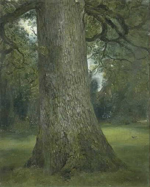 Study of the Trunk of an Elm Tree - John Constable