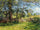 Summer Landscape (Summertime) in home office