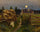 Summer Night Moon in living room