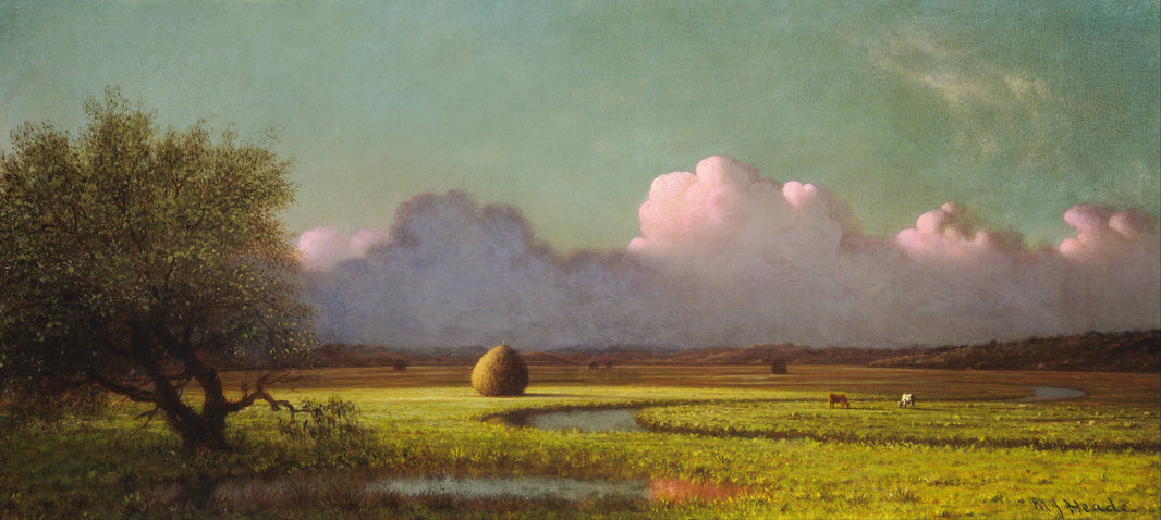Sunlight and Shadow: The Newbury Marshes by Martin Johnson Heade, hand-painted botanical oil painting reproduction on canvas