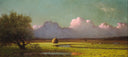 Sunlight and Shadow: The Newbury Marshes by Martin Johnson Heade, rural oil painting wall art, Romanticism