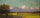 Sunlight and Shadow: The Newbury Marshes in study