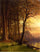 Sunset in California Yosemite in apartment