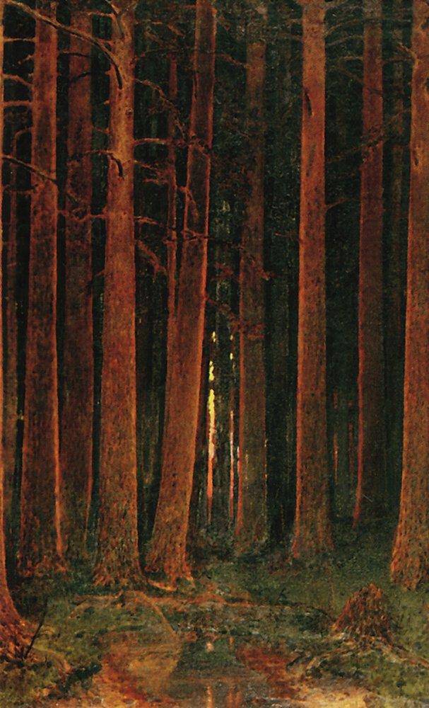 Sunset in the forest - Arkhyp Kuindzhi