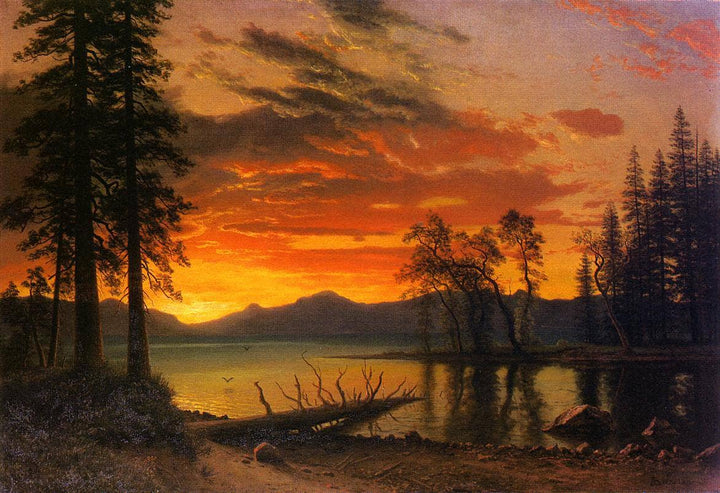 Sunset over the River by Albert Bierstadt — hand-painted botanical oil painting reproduction on canvas