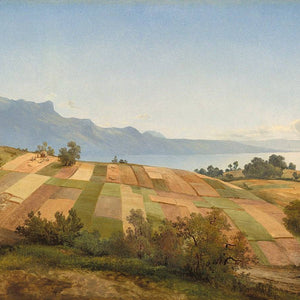 Swiss Landscape