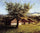 Swiss Landscape with Flowering Apple Tree in living room
