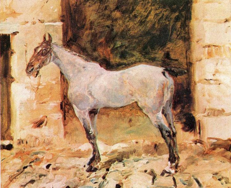Tethered Horse on gallery wrap