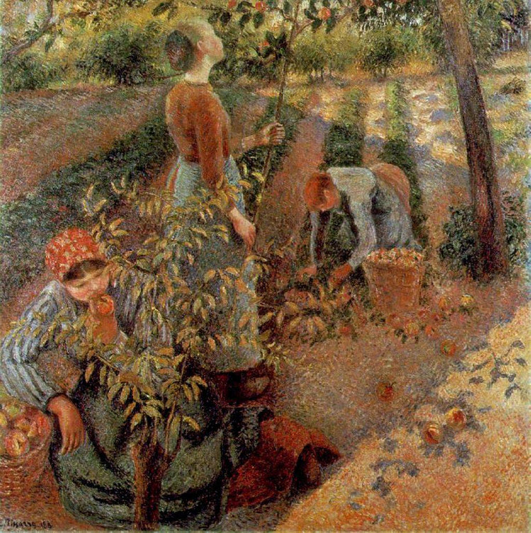 The Apple Pickers - Camille Pissarro