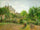 The Artist's Garden at Eragny in study