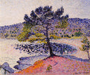 The Beach, Evening by Henri-Edmond Cross — hand-painted botanical oil painting reproduction on canvas