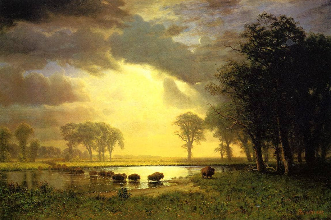 The Buffalo Trail by Albert Bierstadt — hand-painted animal oil painting reproduction on canvas
