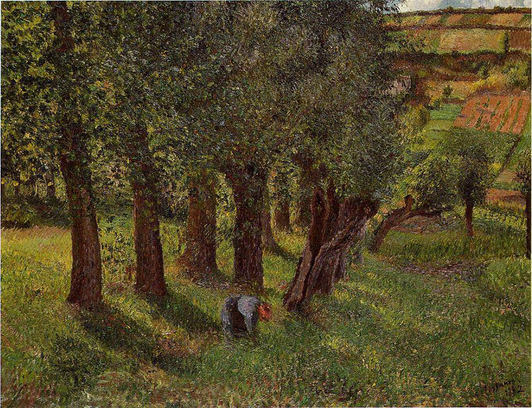 The cabbage of Pontoise - Camille Pissarro