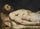 The Dead Christ laid down on his Shroud detail of mid to upper body in master bedroom