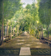 The Doshan Tappeh Street