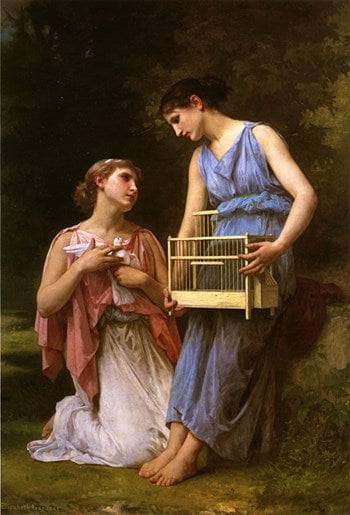 The Dove Fanciers