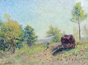 The Edge of the Forest by Alfred Sisley — hand-painted botanical oil painting reproduction on canvas