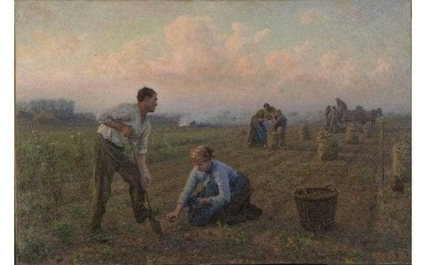 The end of the harvest